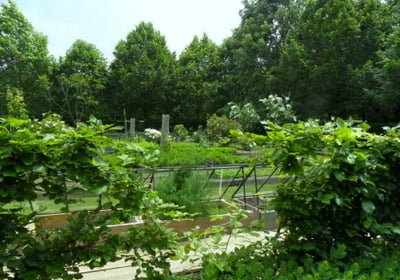 Le jardin façon Jardin de Curé de Michel et Christine Guérard